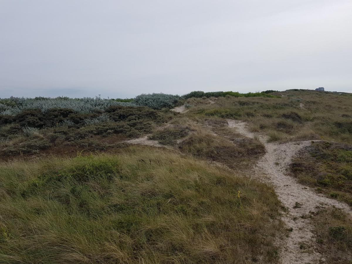 Seacottage Blankenberge - Wenduine Le Coq Extérieur photo
